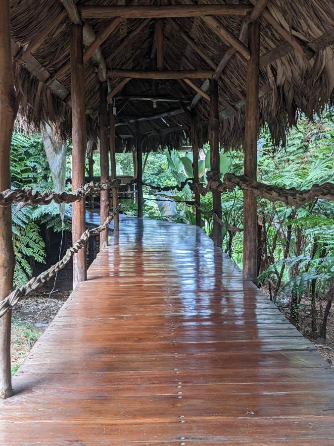 Corcovado Mountain House Hotel Drake Bay Exterior photo
