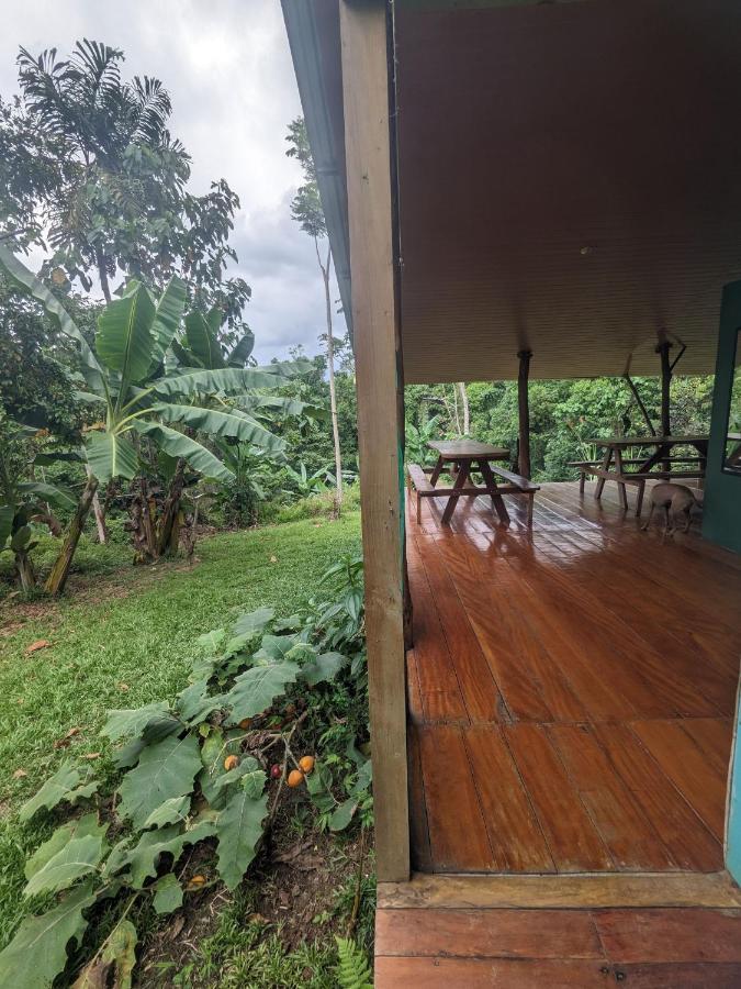 Corcovado Mountain House Hotel Drake Bay Exterior photo